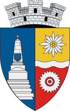 Consiliul Local Brezoi